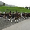 2014-07-26 Zapfenstreich - Bataillonsfest Trins